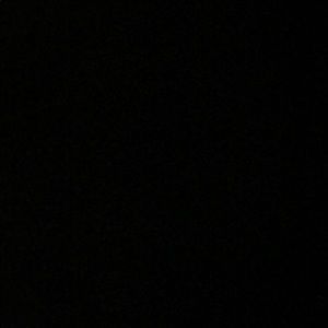 Meet your Posher, Shelby